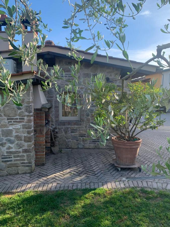 Locazione Turistica Casa Olivo Daire Fucecchio Dış mekan fotoğraf