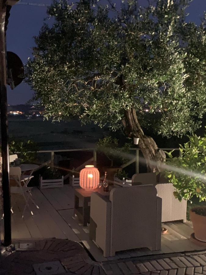 Locazione Turistica Casa Olivo Daire Fucecchio Dış mekan fotoğraf