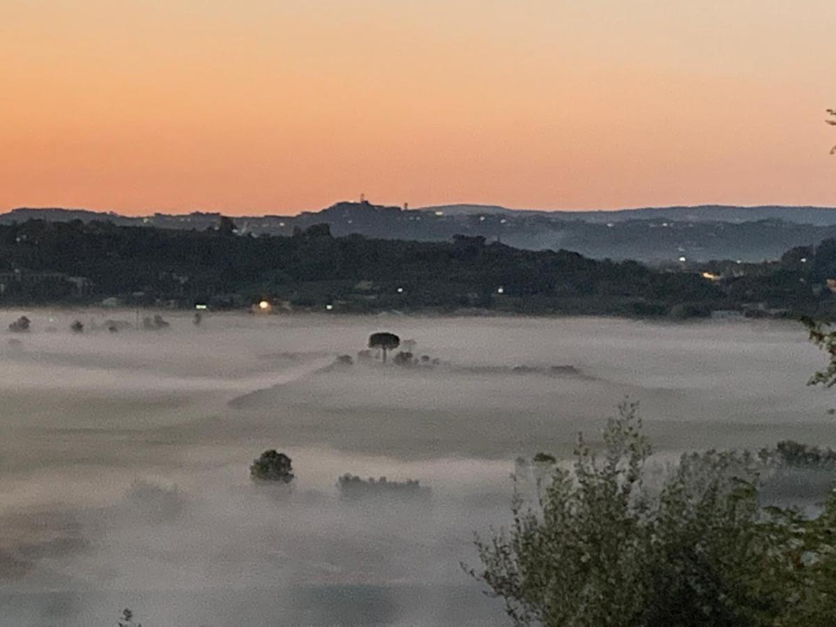 Locazione Turistica Casa Olivo Daire Fucecchio Dış mekan fotoğraf
