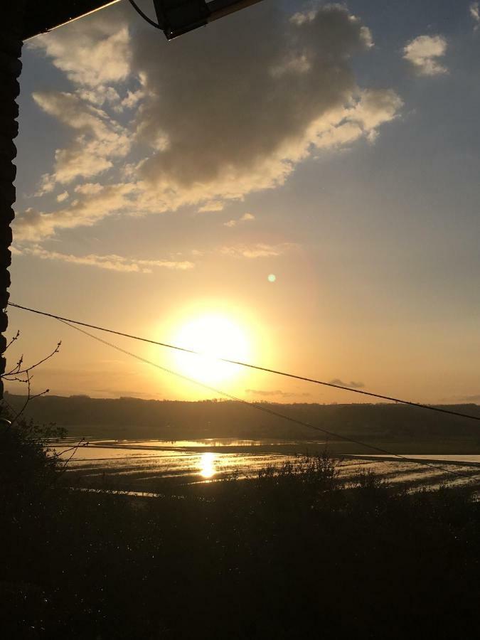 Locazione Turistica Casa Olivo Daire Fucecchio Dış mekan fotoğraf
