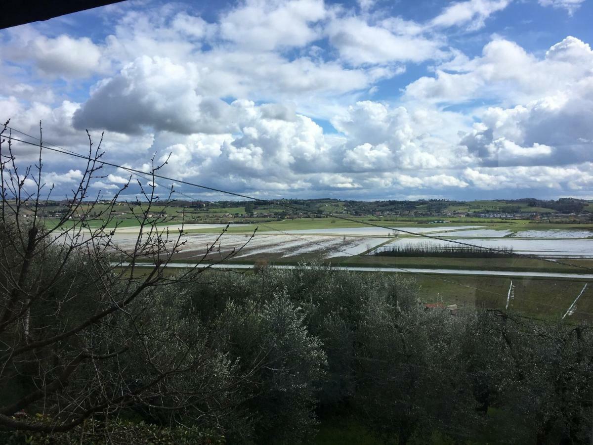 Locazione Turistica Casa Olivo Daire Fucecchio Dış mekan fotoğraf