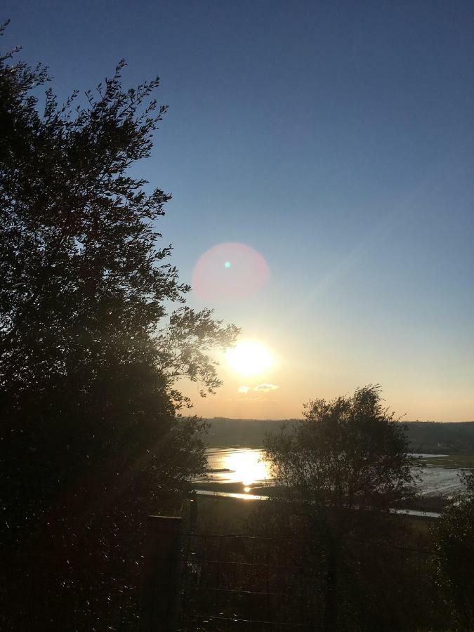 Locazione Turistica Casa Olivo Daire Fucecchio Dış mekan fotoğraf