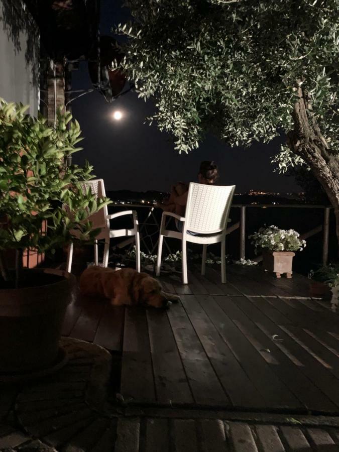 Locazione Turistica Casa Olivo Daire Fucecchio Dış mekan fotoğraf